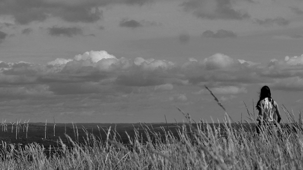 P1420871c4-1610NB-1000.JPG