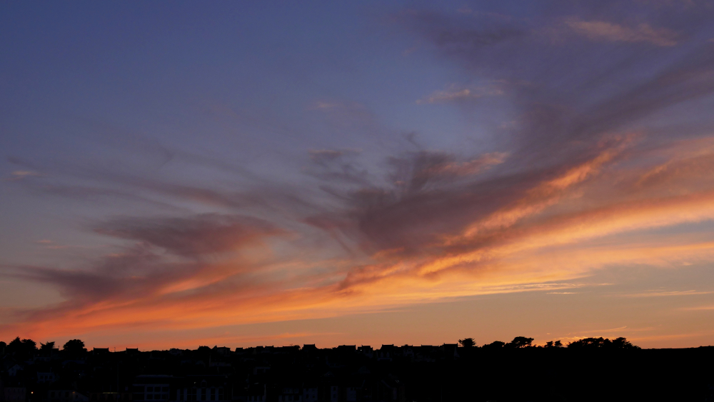 P1430201a1CT6-1000.JPG