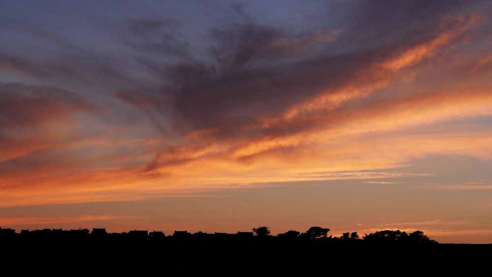 P1430205a1CT6-1000.JPG