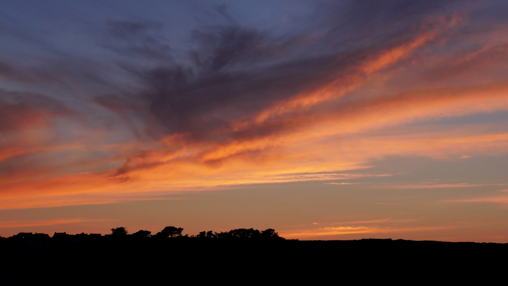 P1430209a1CT6-1000.JPG