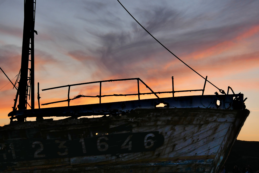 P1430216b1-1000.JPG