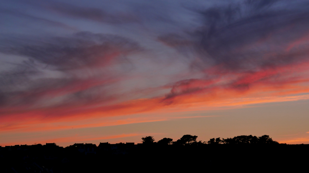 P1430218a1CT6-1000.JPG