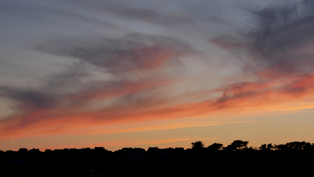 P1430220a1CT6-1000.JPG