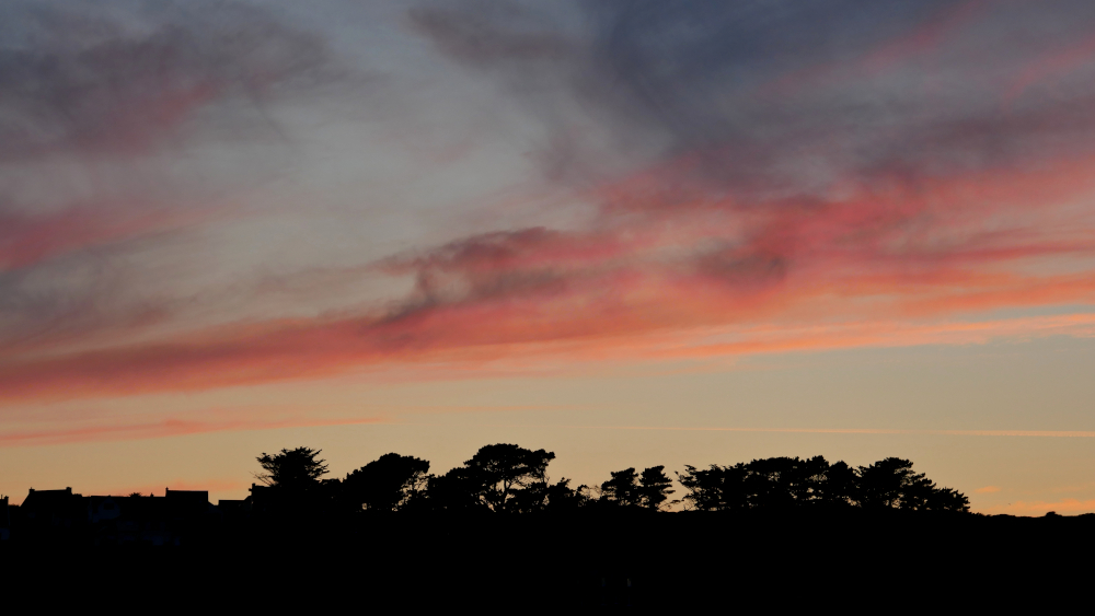 P1430222a1CT6-1000.JPG