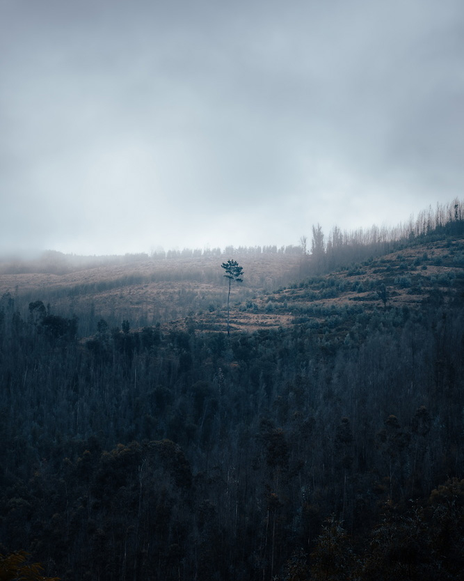Untitled-1.jpg
