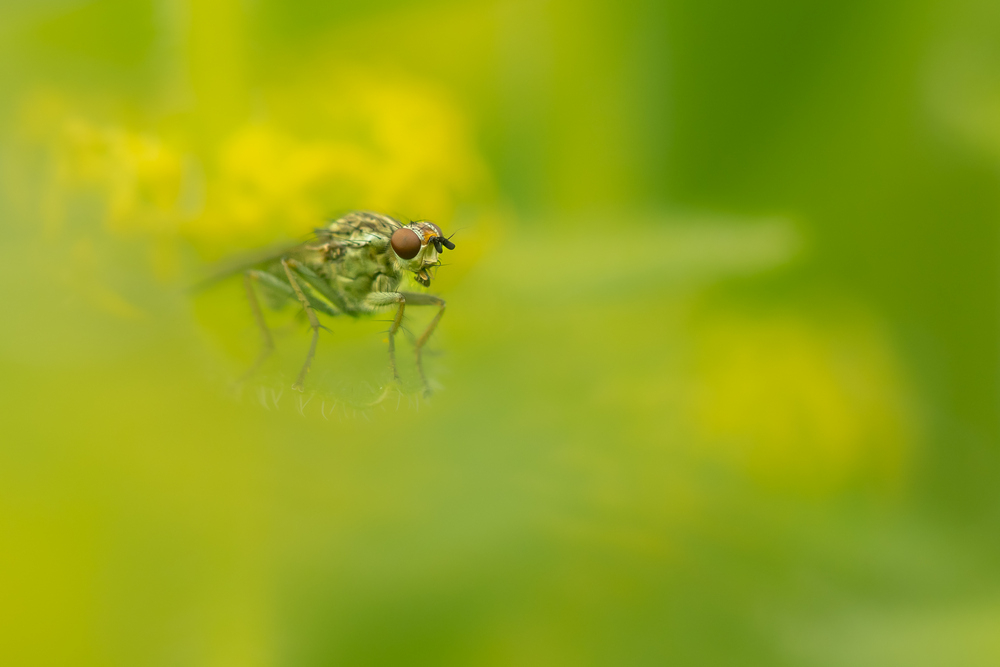 _DSC8191.jpg