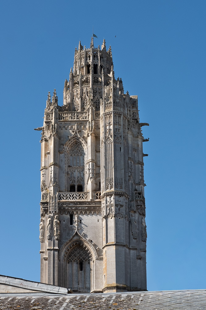 _DSF7256.jpg
