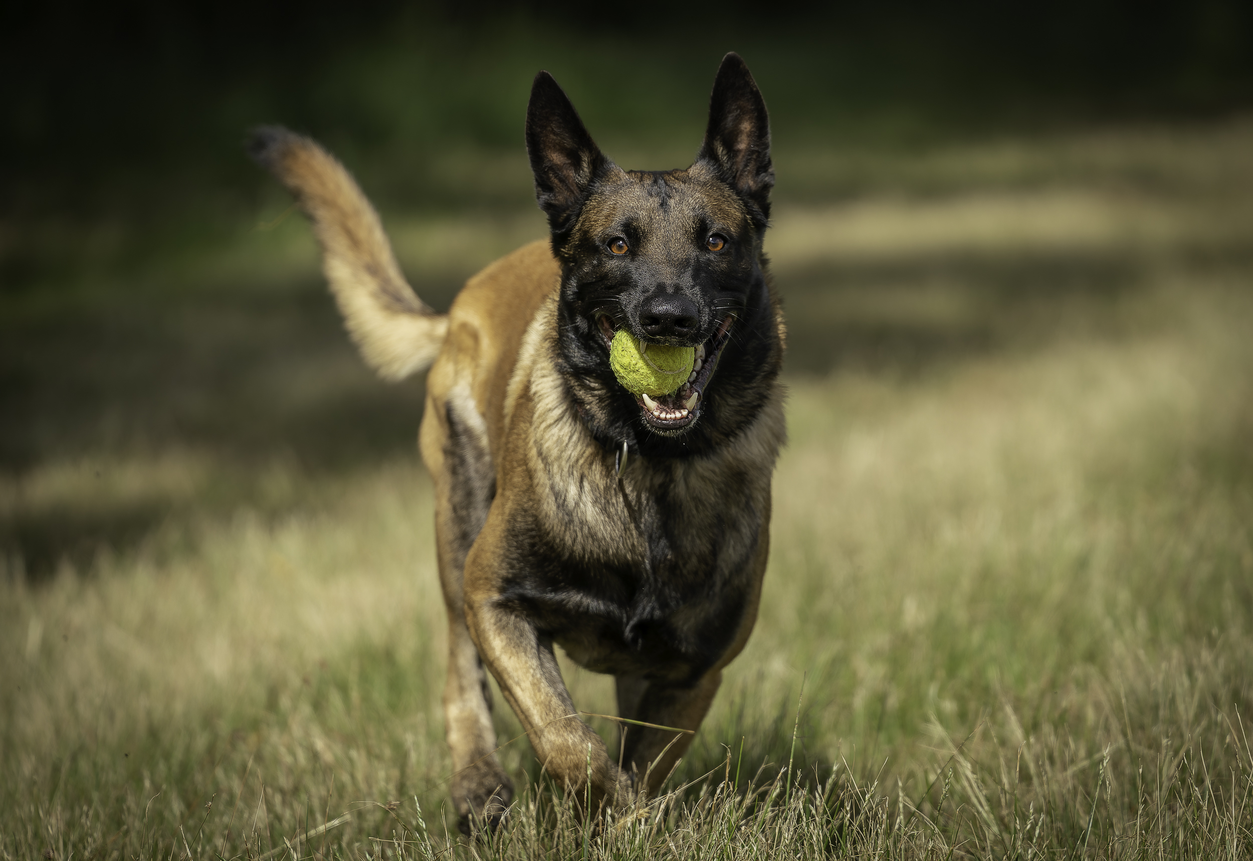 large.Sth-A7RVI-10.jpg