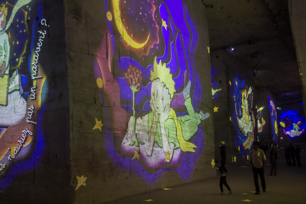 petit prince 08.jpg