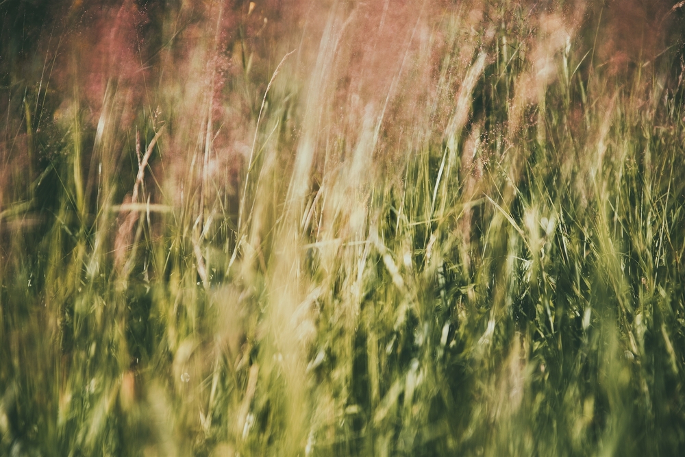 591.jpg