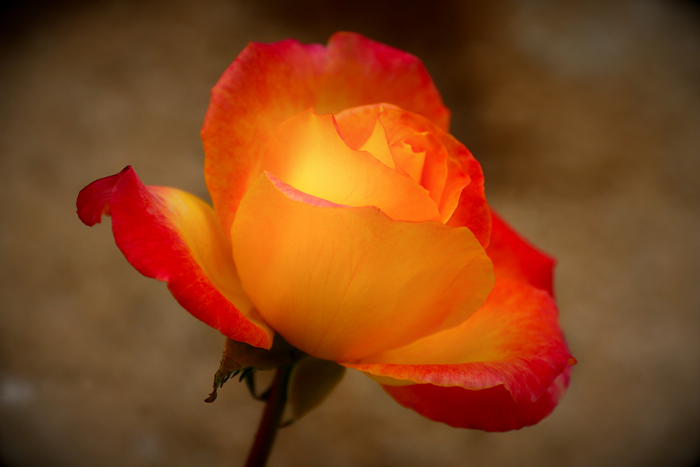 2022_09_25_15_48_47_0011_D_small_F2P.jpg