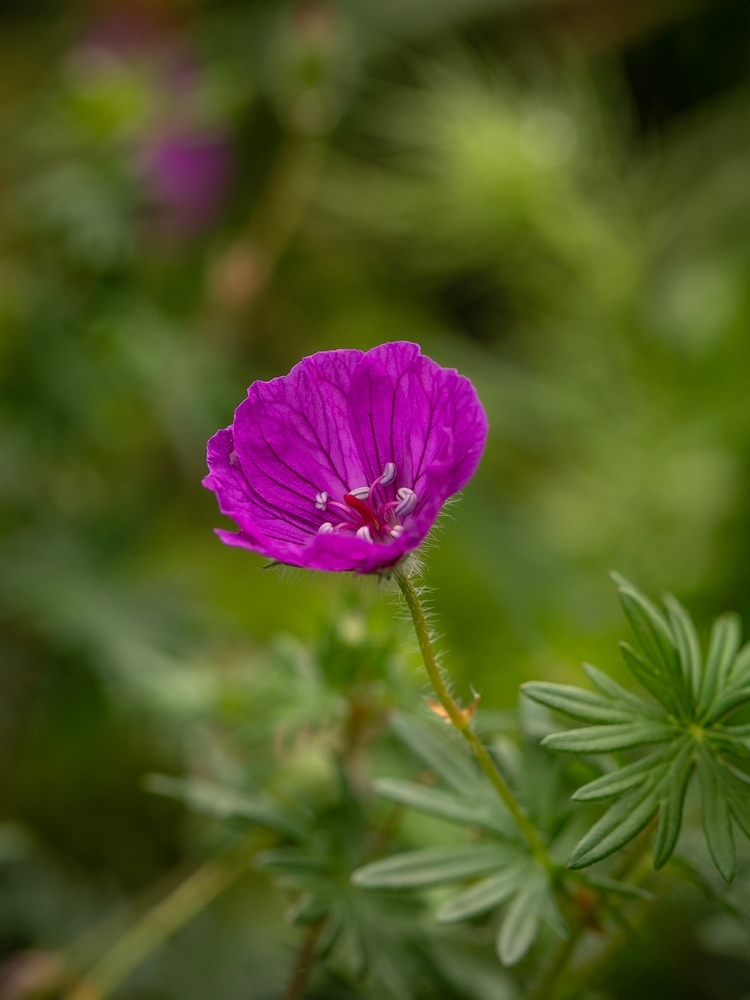 2G6A8953.jpg