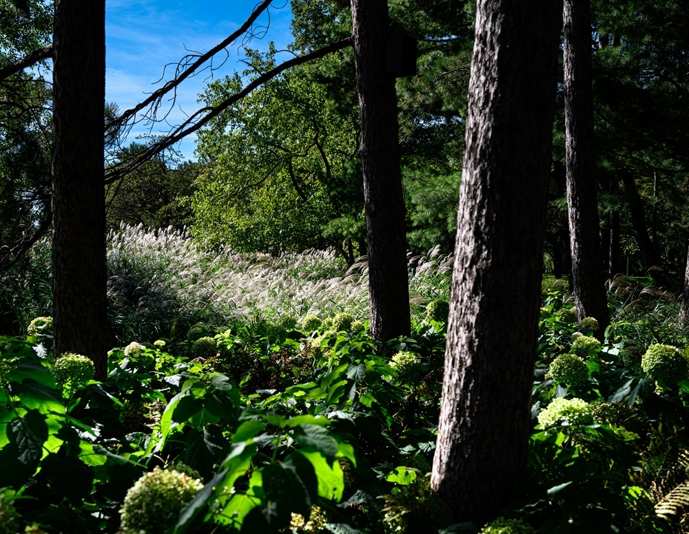 DSC_0167.jpg