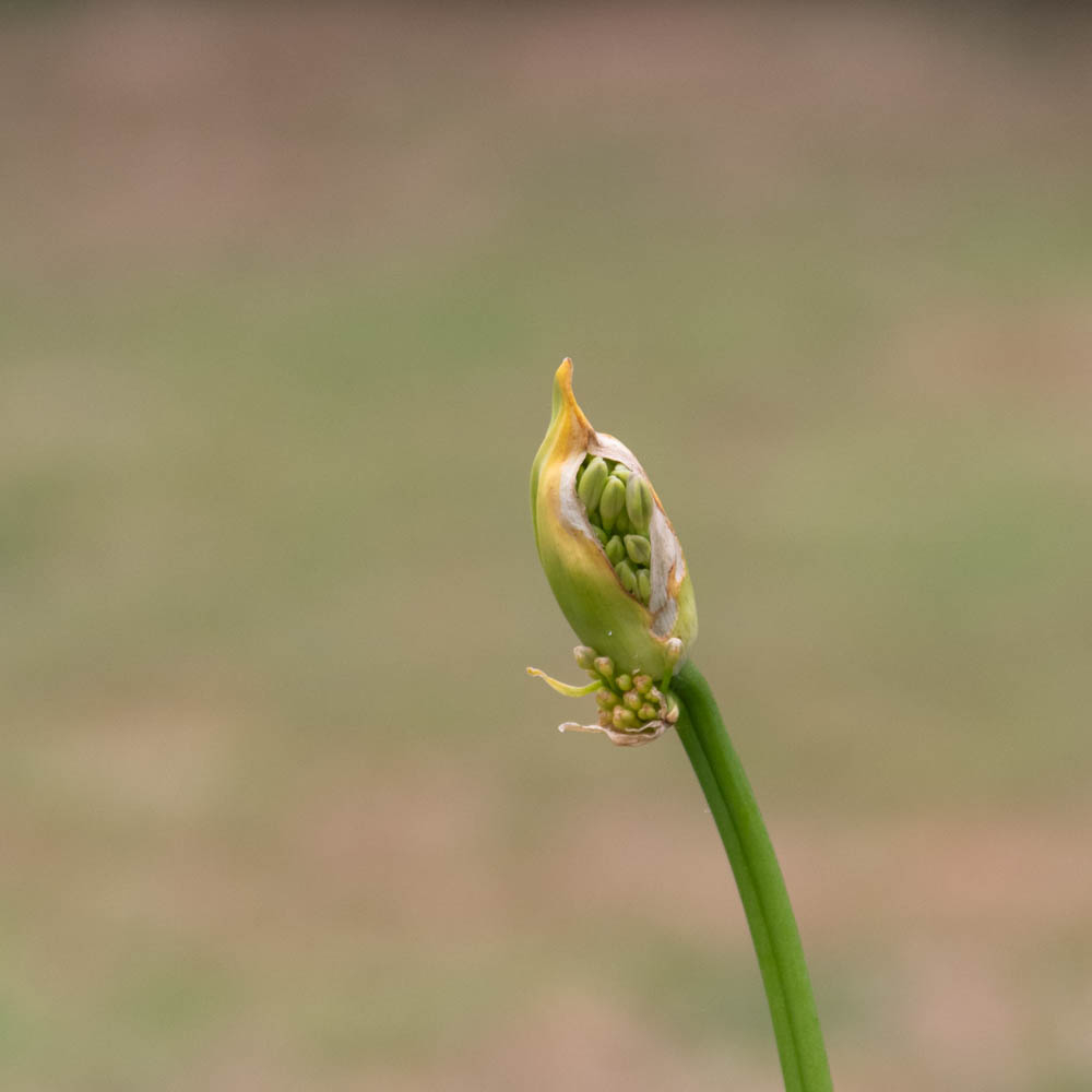 K1__0846.jpg