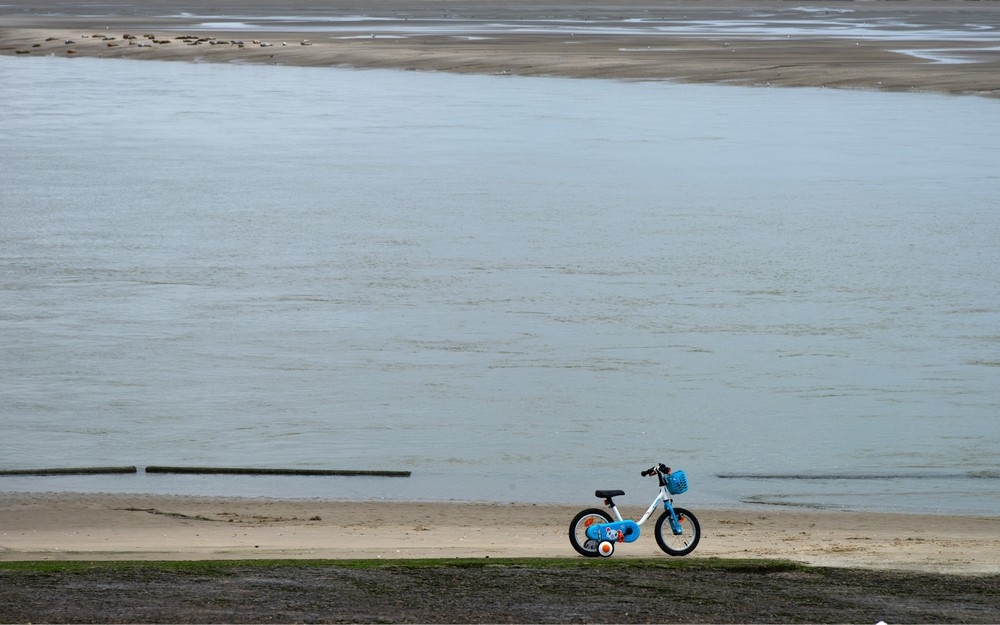 Le petit vélo.jpg