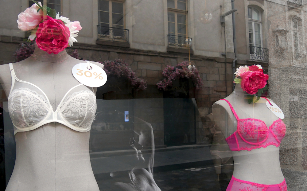 P1390681b1-1000.JPG