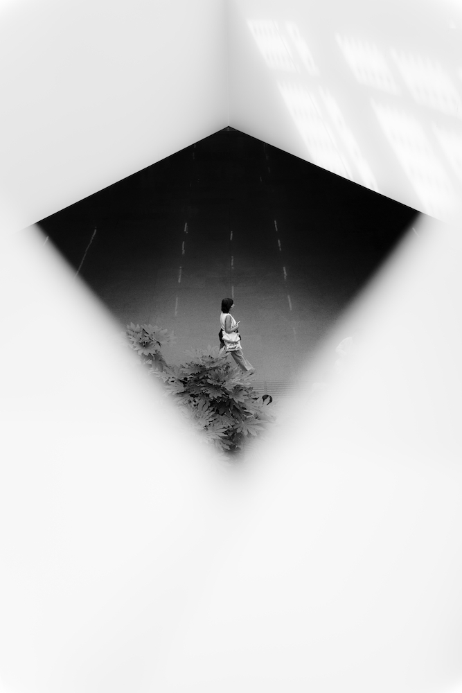 THE LITTLE WORLD OF HUMANS.jpg