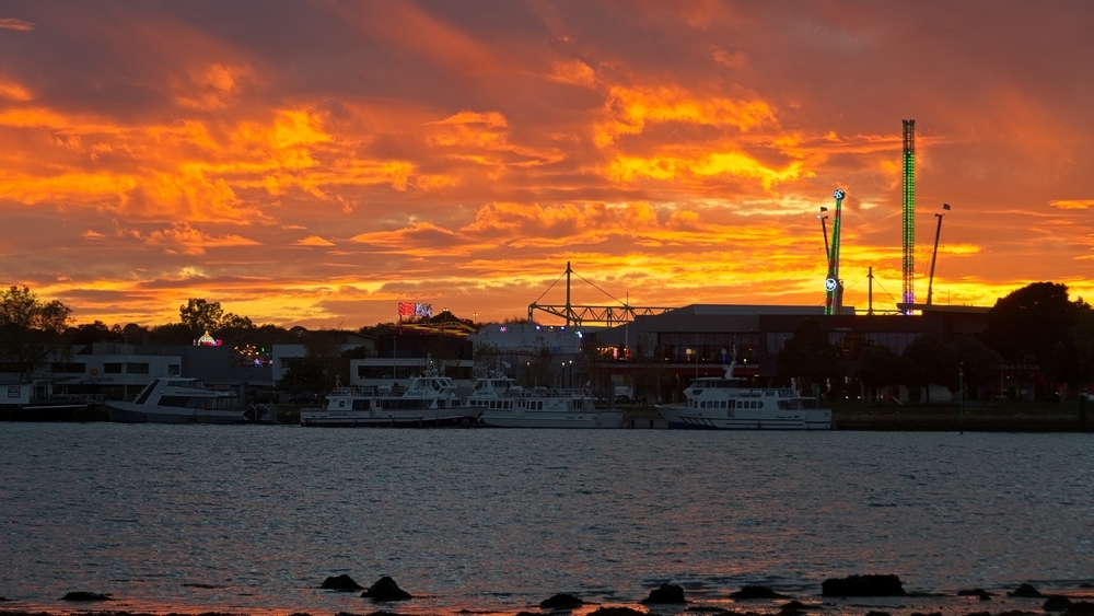 _DSC9857 1.jpg