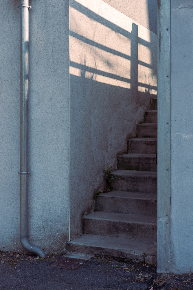 _DSF7081.jpg