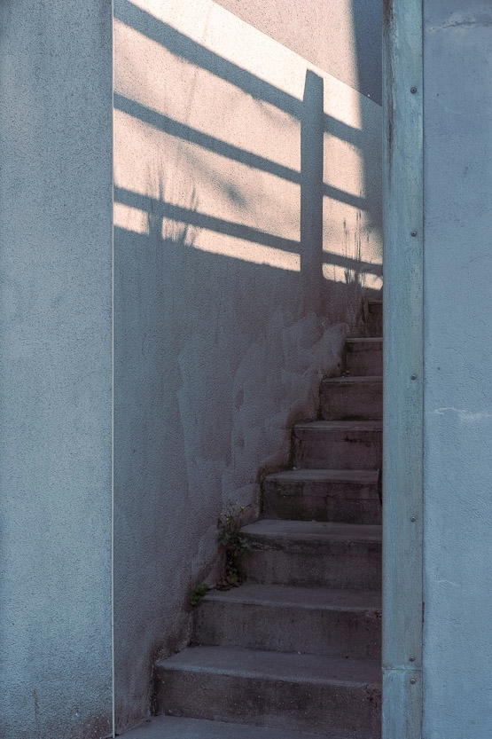 _DSF7081.jpg.c2ab2a260c9aba6c3682d9fe891446f4a.jpg