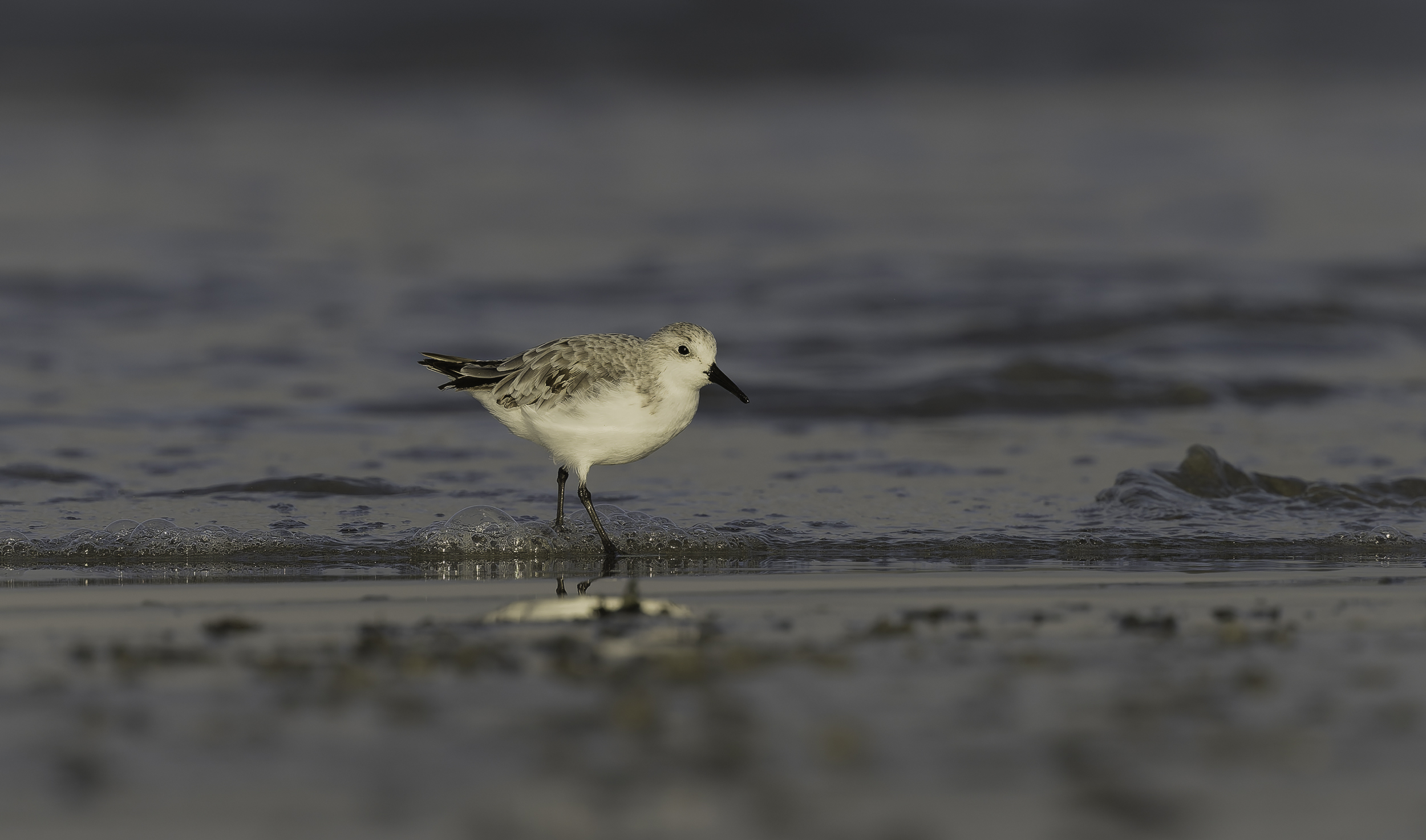 large.Sth-A7RVI-46.jpg