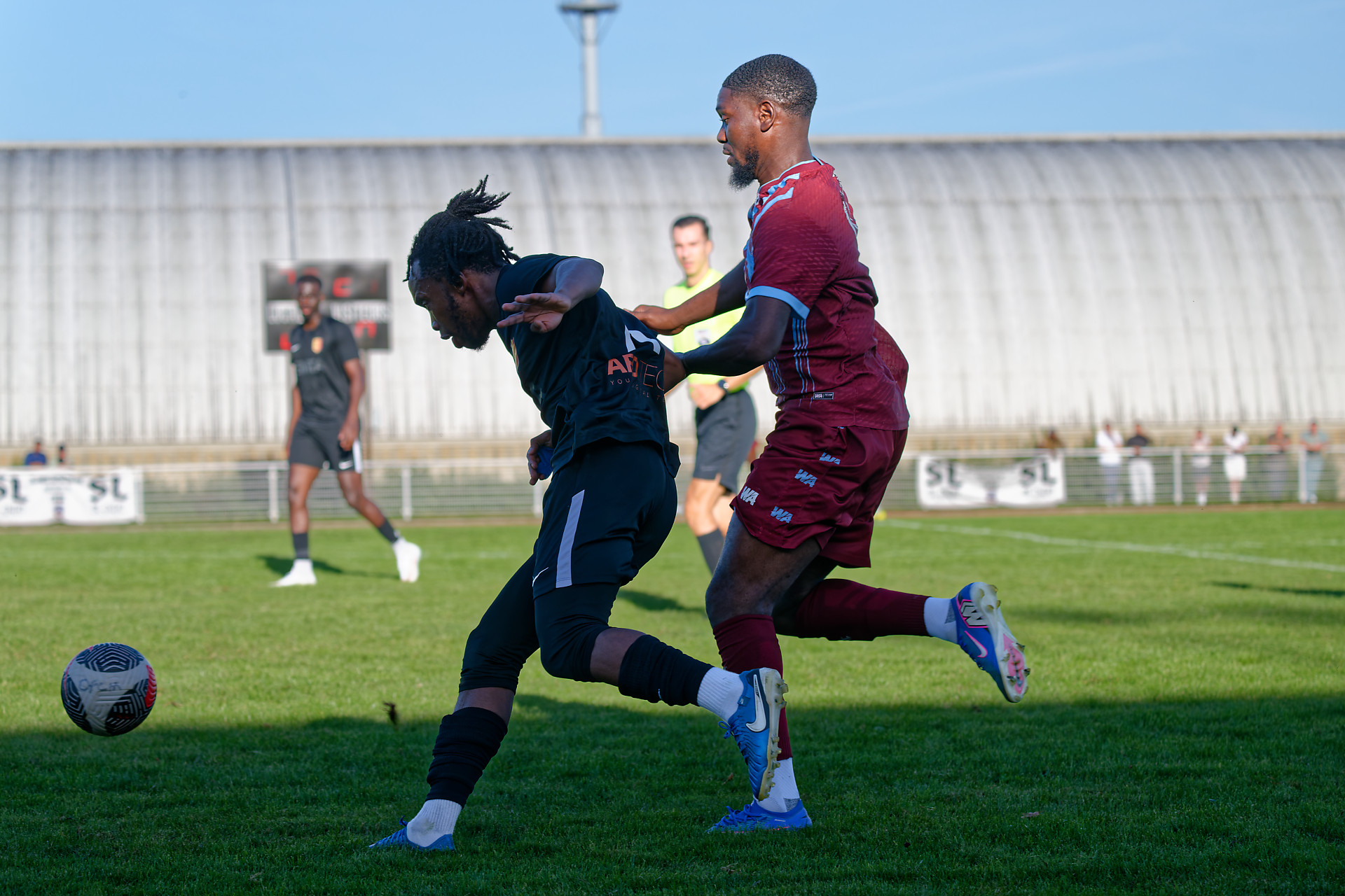 large._DSB7899.jpg