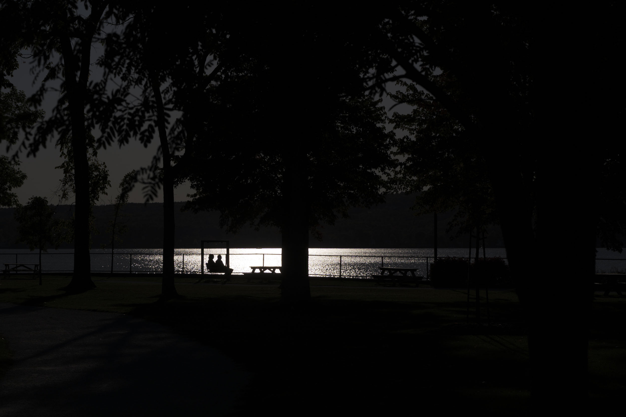 large_0569.jpg