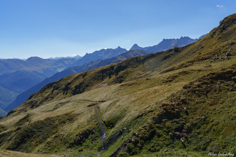 2026_08_30_014_Pyrénées_autour_de_superbagnières.jpg