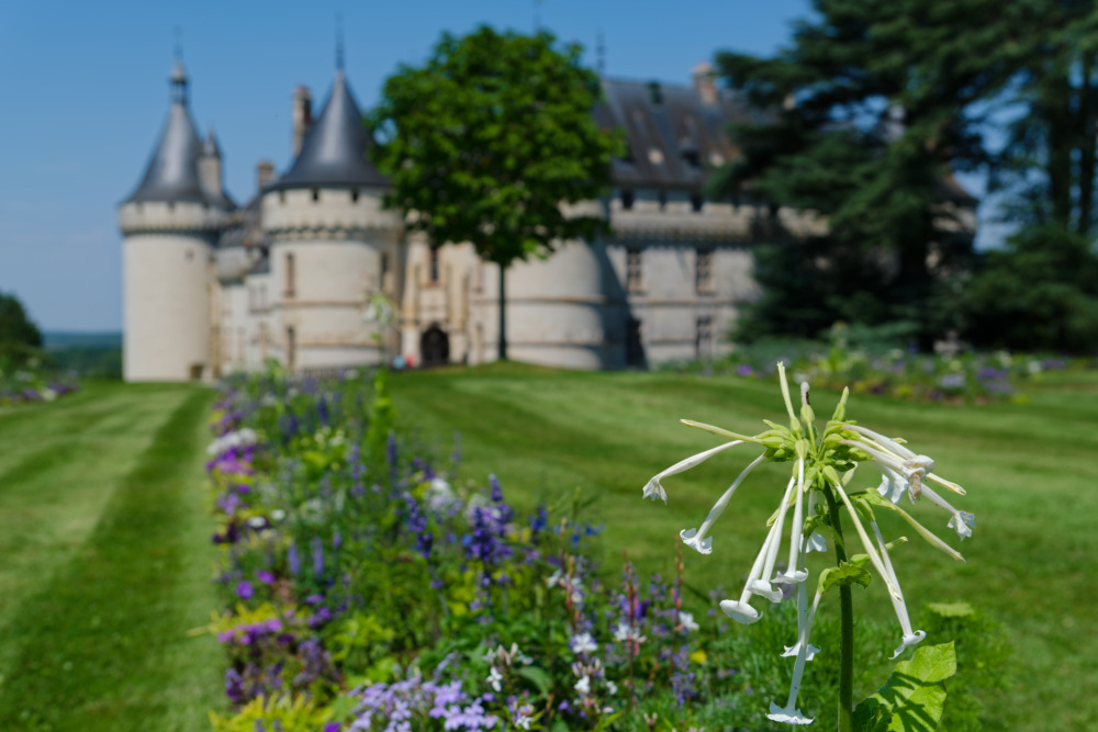 20260618 Chaumont 8656_DxO.jpg