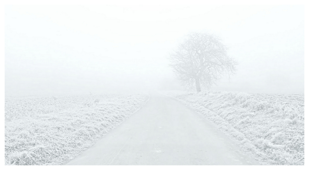 29 décembre 2025 givre.jpg