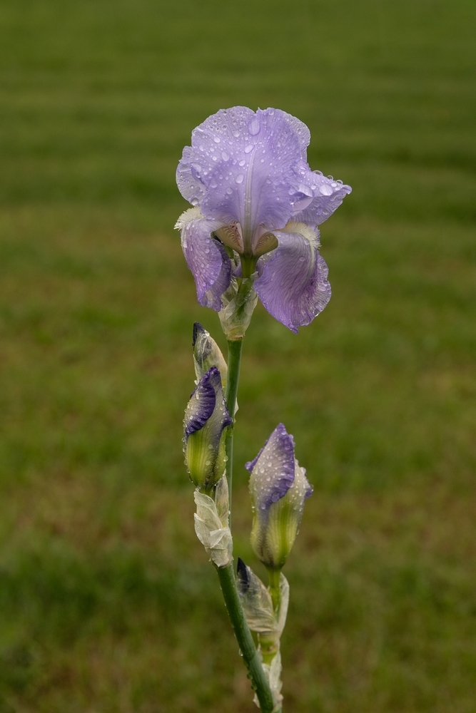 2G6A9180.jpg
