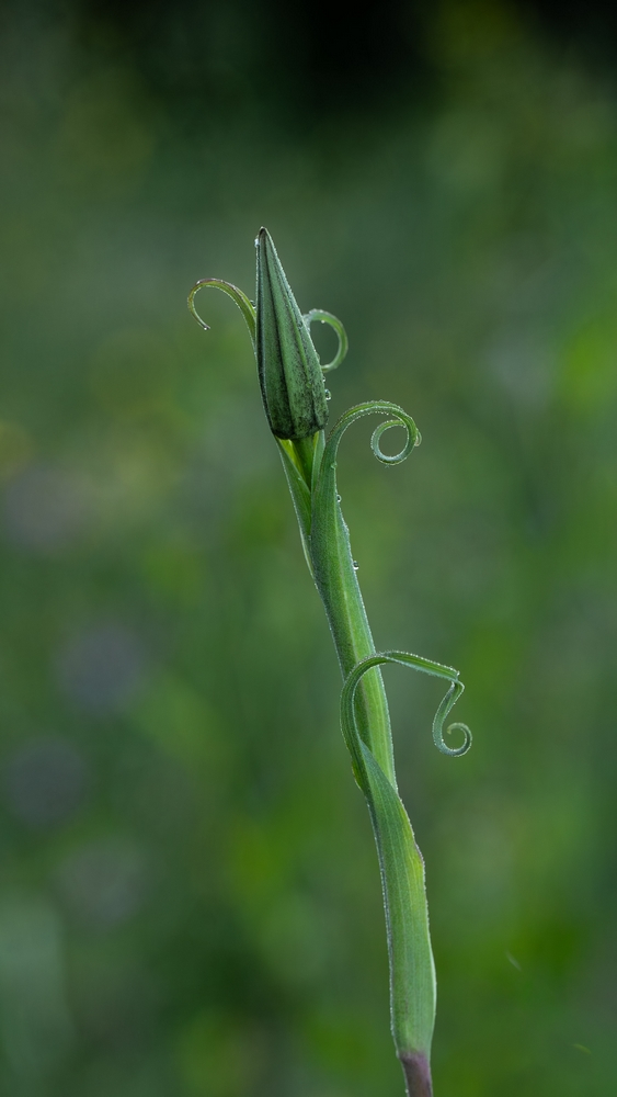 2G6A9479.jpg