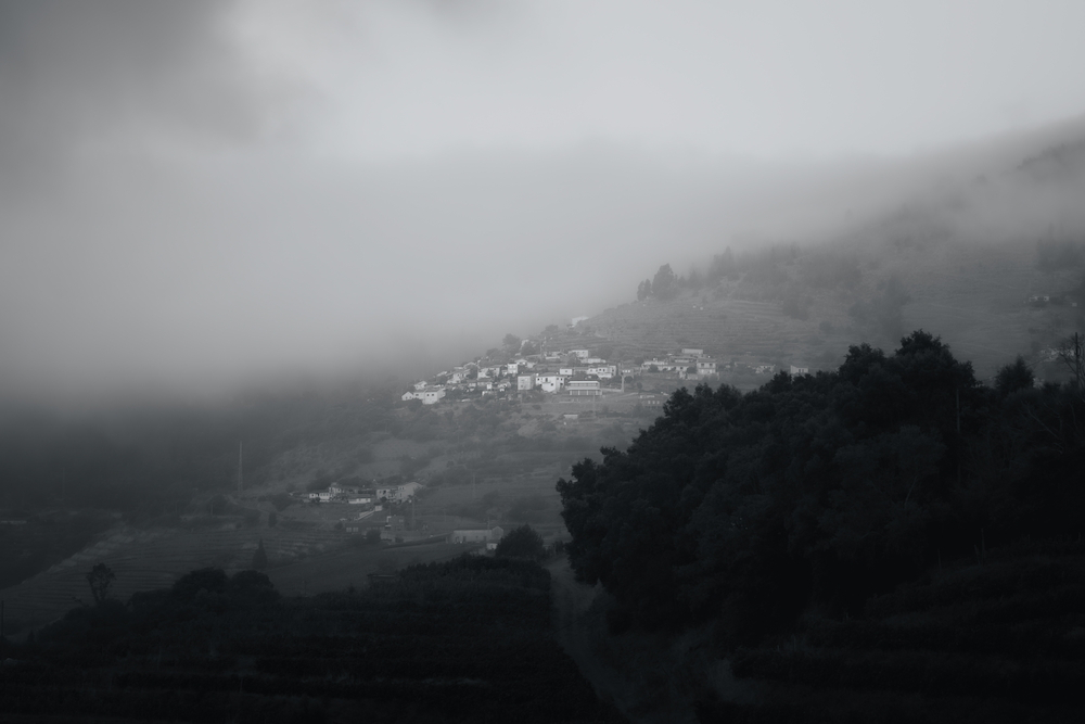 DSC01574.jpg