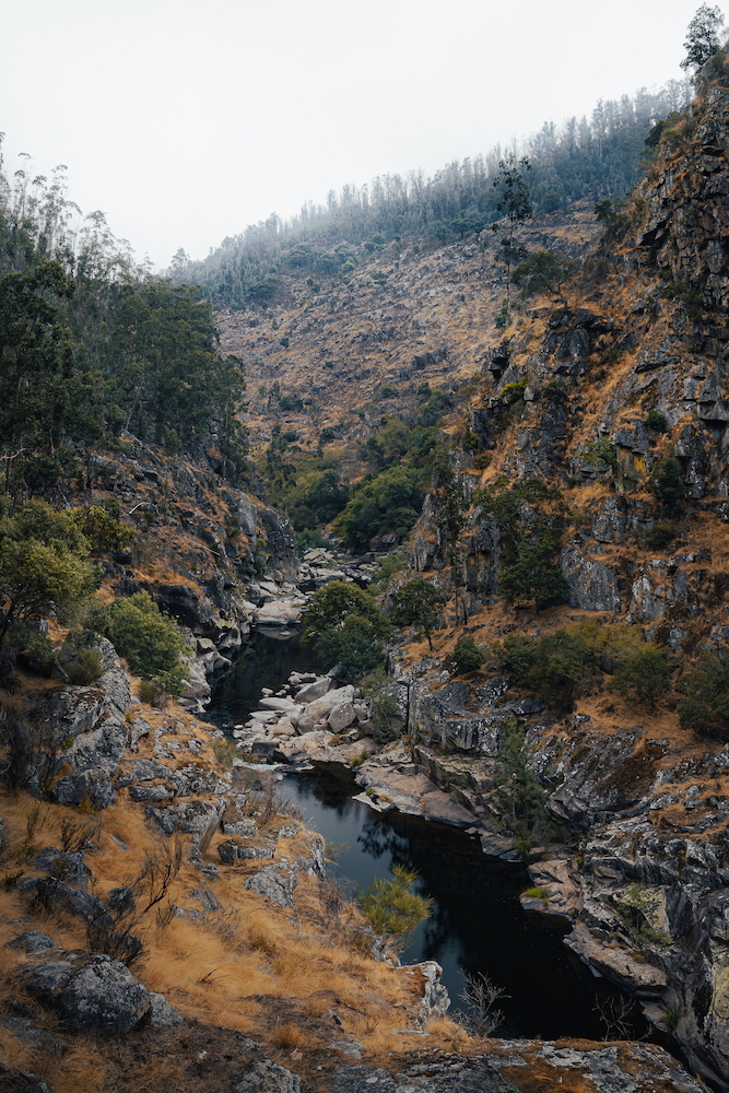 DSC01590-HDR.jpg