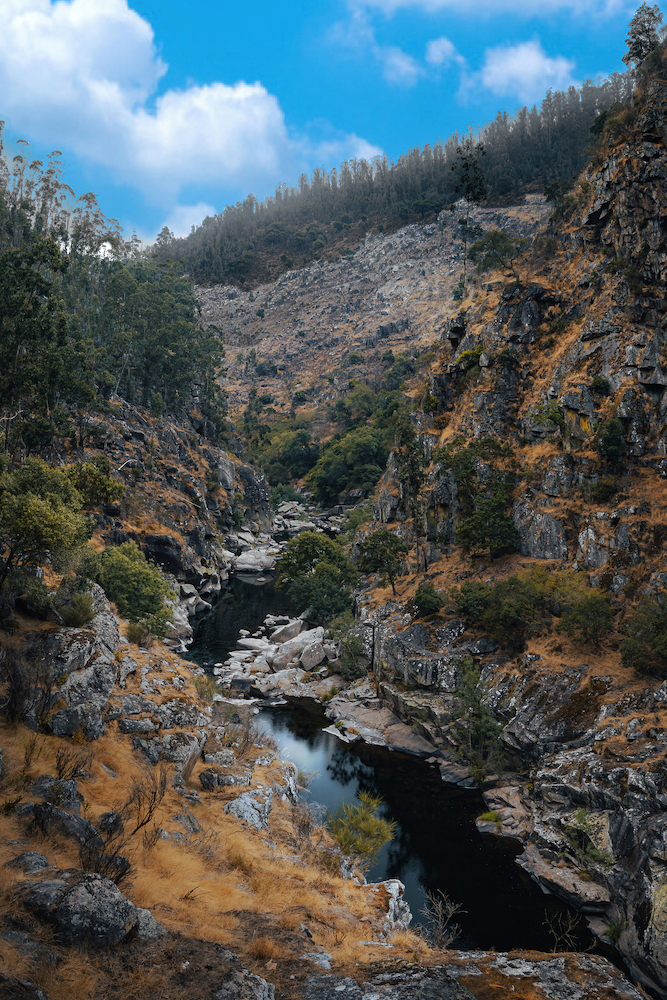 DSC01590-HDR.jpg.0b4cb9851f6d00814788ad1f425eda95_R (1).jpg