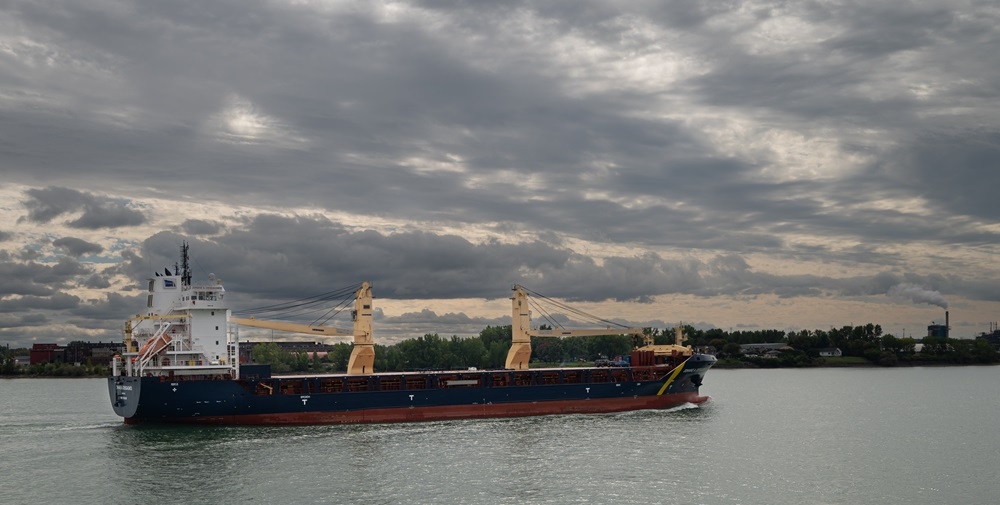 DSC_0315.jpg