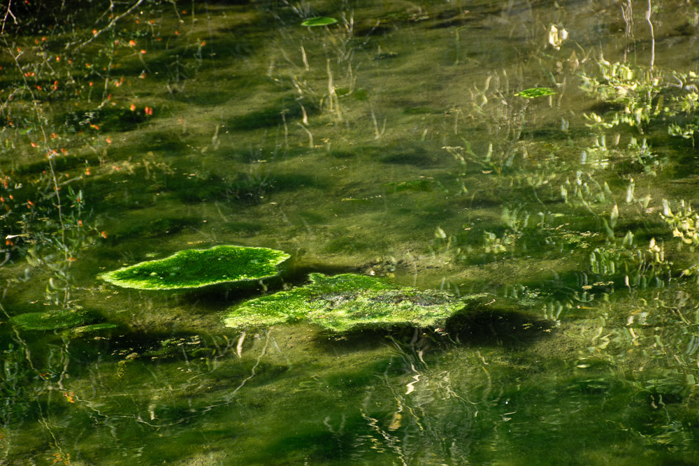 DSC_0318.jpg