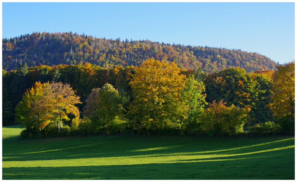 Jura 5 1.JPG