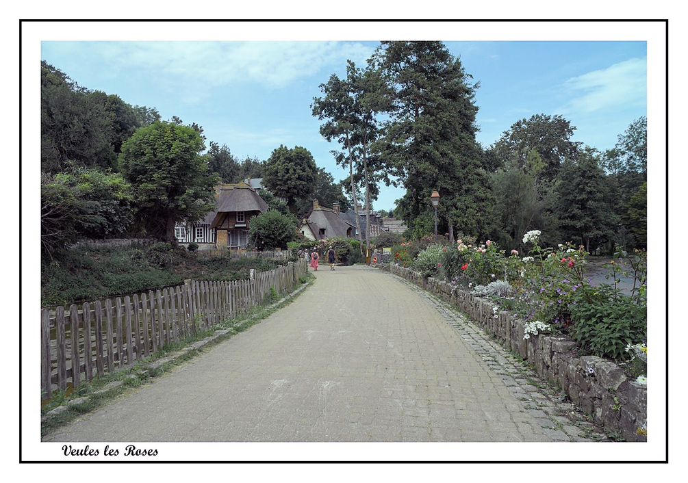 VeuleslesRoses(1).jpg.cf4ab68c3dd5fae9ac103332eedc4250_R.jpg