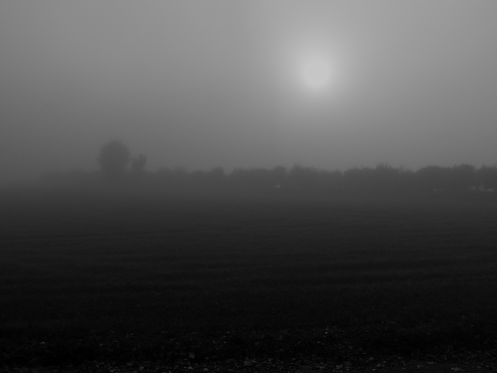 brume.jpg