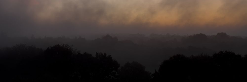 brume051126d_1000.jpg