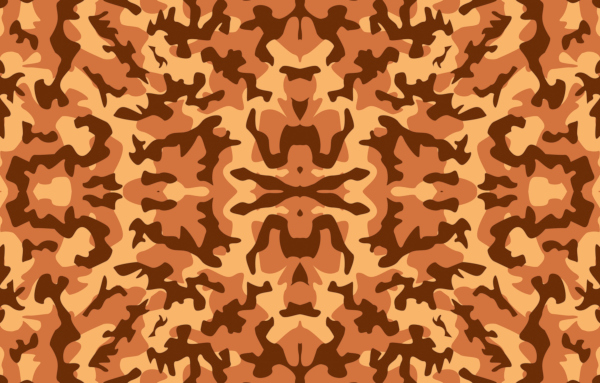 camouflage.jpg
