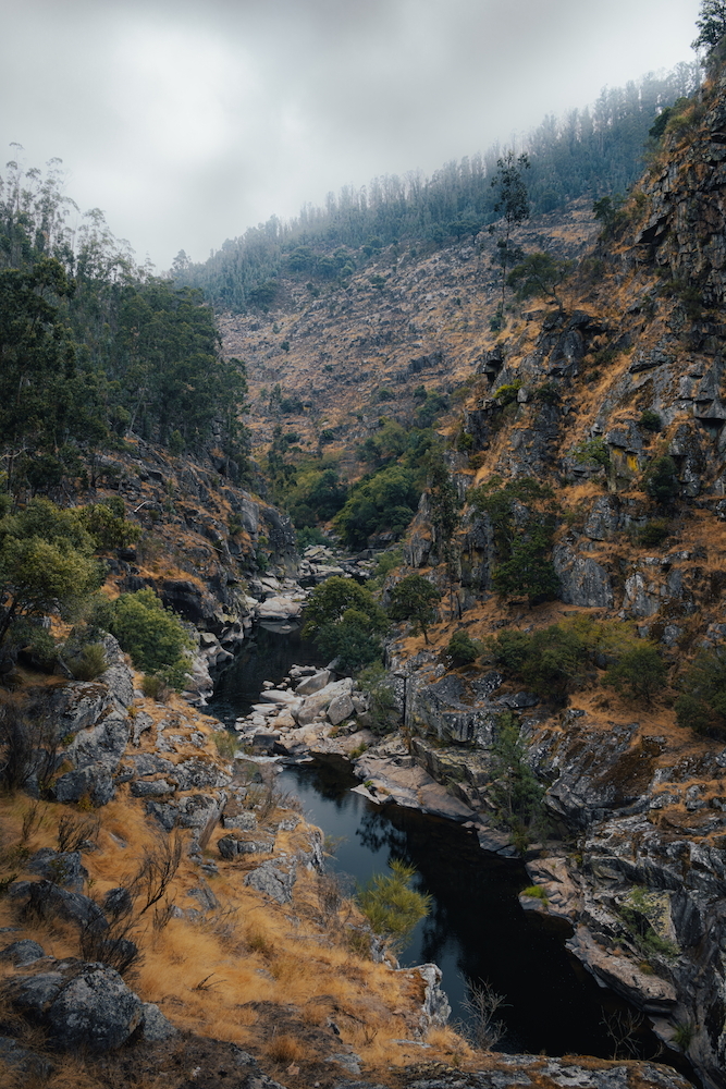 juste la rivière.jpg