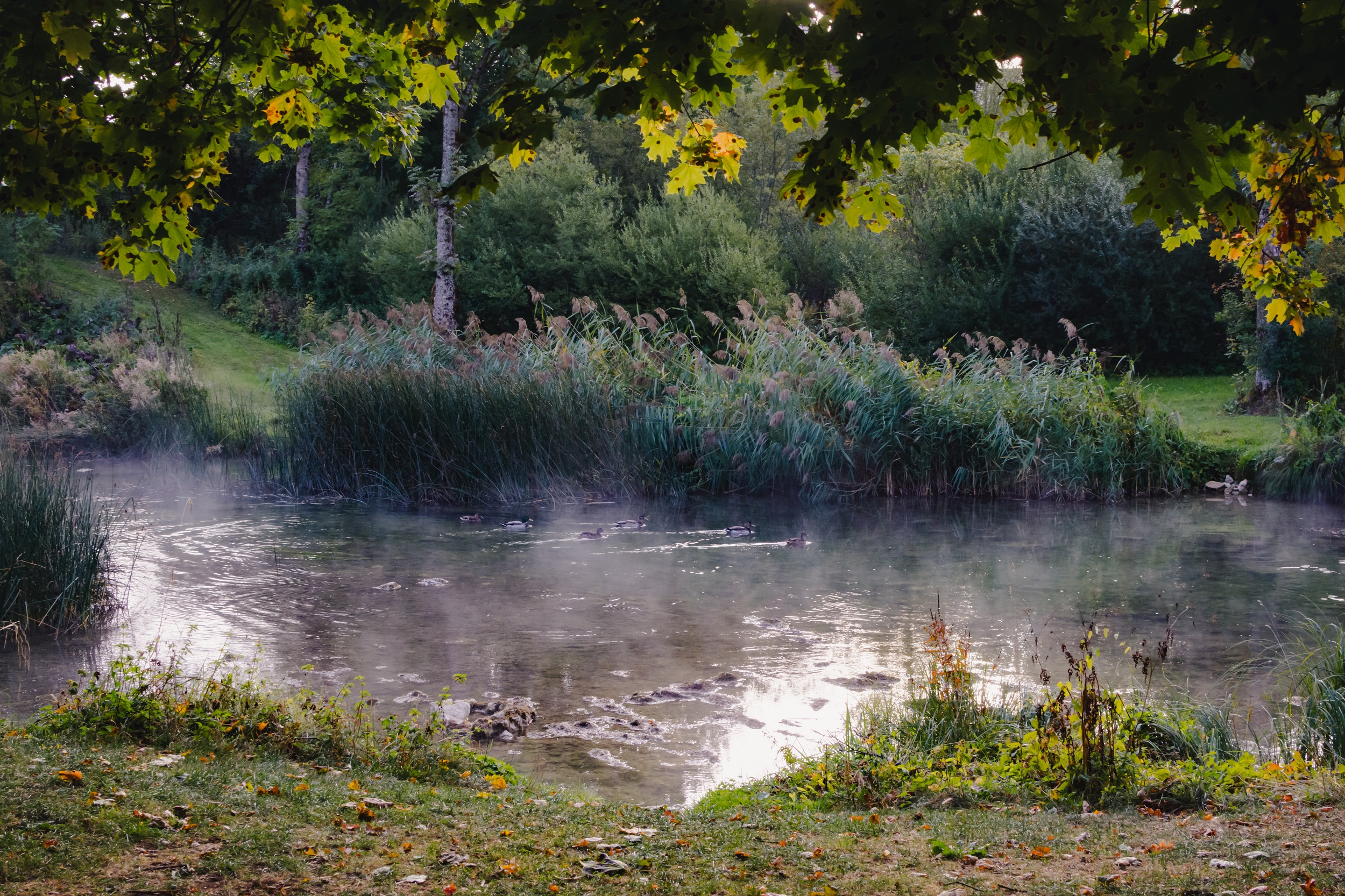 large.2026-10-27-00-2821092026-_DSC6388.jpg