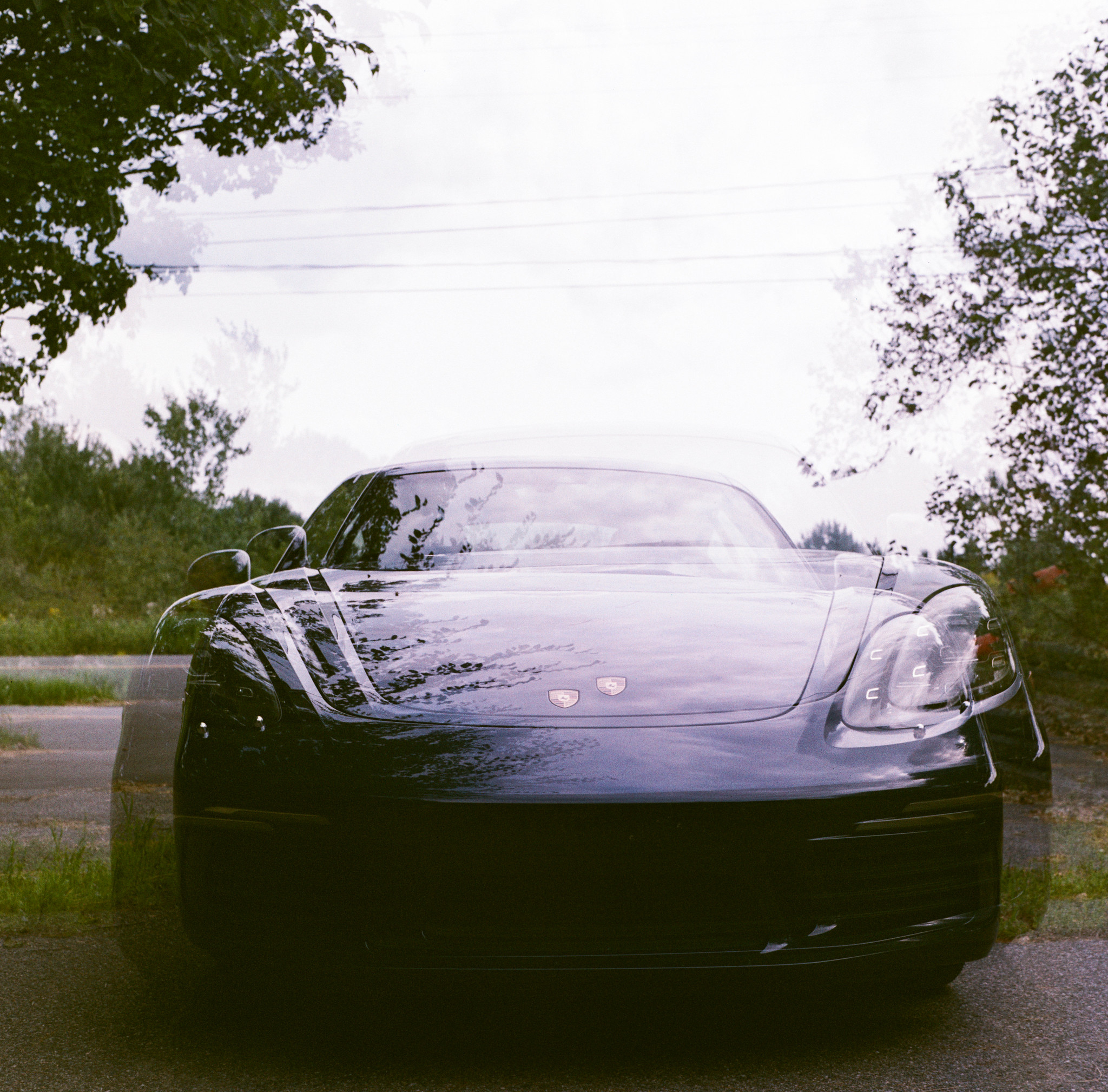large.55475565188_501eca2352_k.jpg