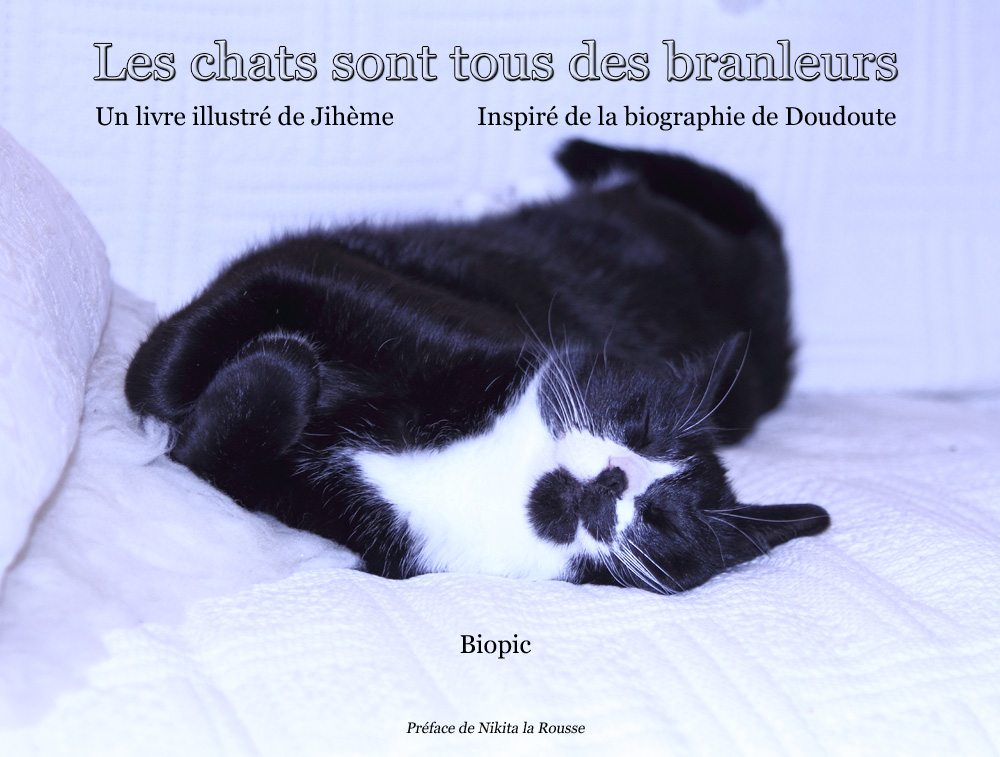 les chats sont des branleurs.jpg