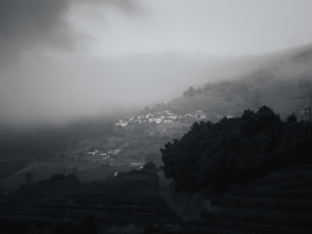 perdu dans le brouillard.jpg