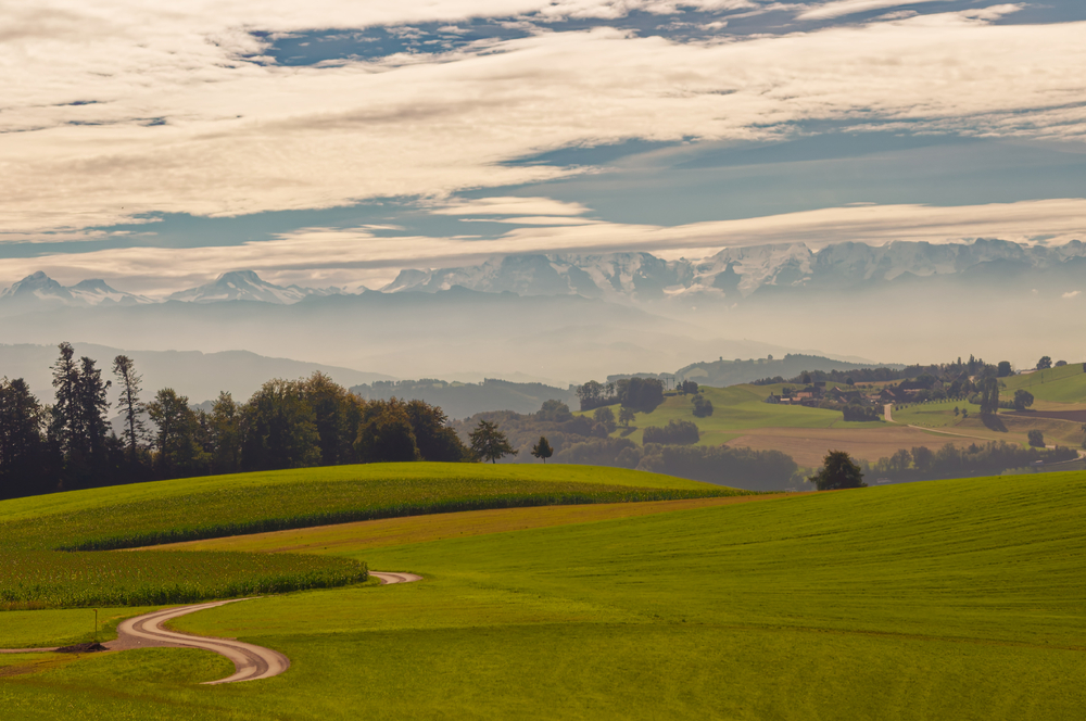 2013 0117_Suisse Gurten 5350_DxO_1.jpg