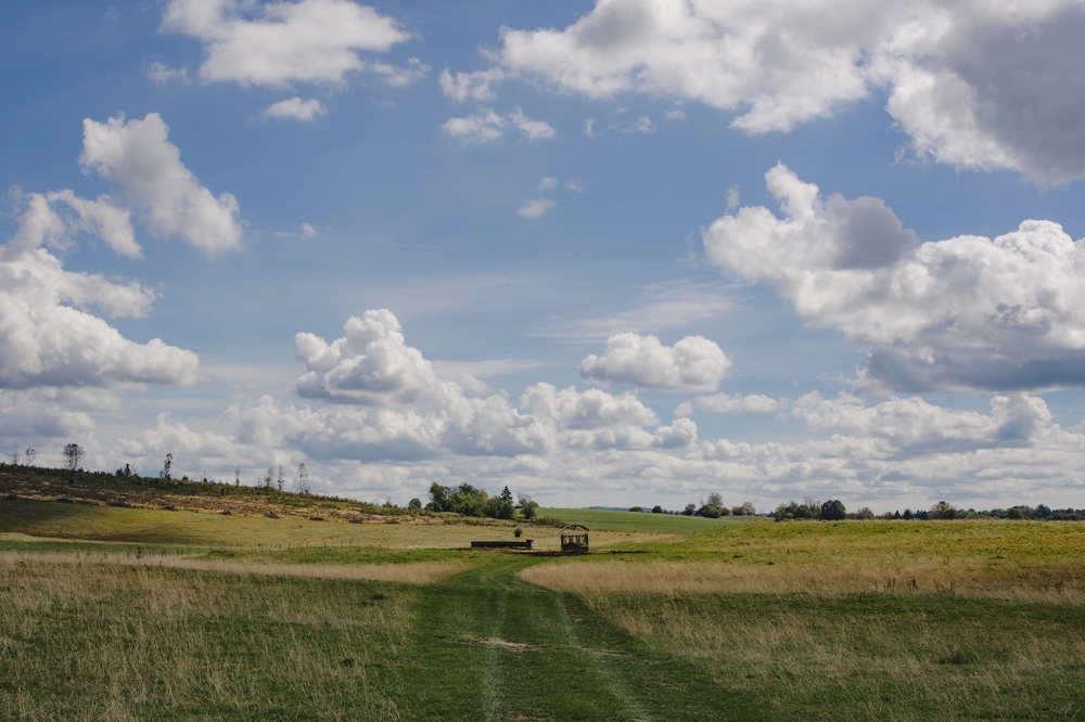 2026-10-11-21-1505092026-_DSC5500.jpg