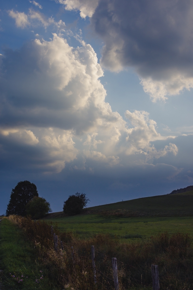2026-10-12-19-1308092026-_DSC5652.jpg